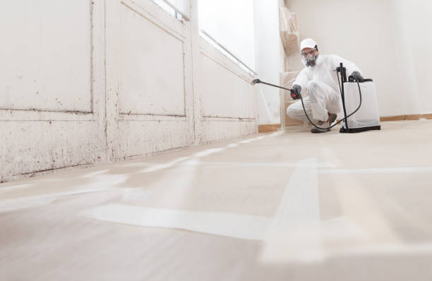 24/7 Emergency Basement Mold Remediation experts in Franklin, MI