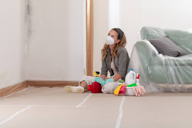 Reliable Basement Mold Remediation contractor in Franklin, MI by Car Mold Remediation